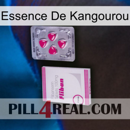 Kangaroo Essence 32